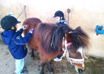 stage equitation enfants donnant les soins aux poneys