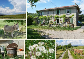 stage nature enfants 4 12 ans SIHA