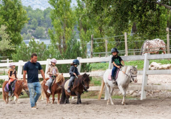 stage équitation western jeux