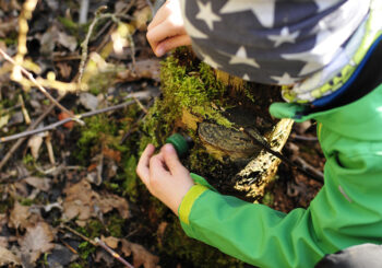 stage avec activité geocaching