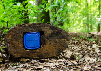 stage geocaching activités nature